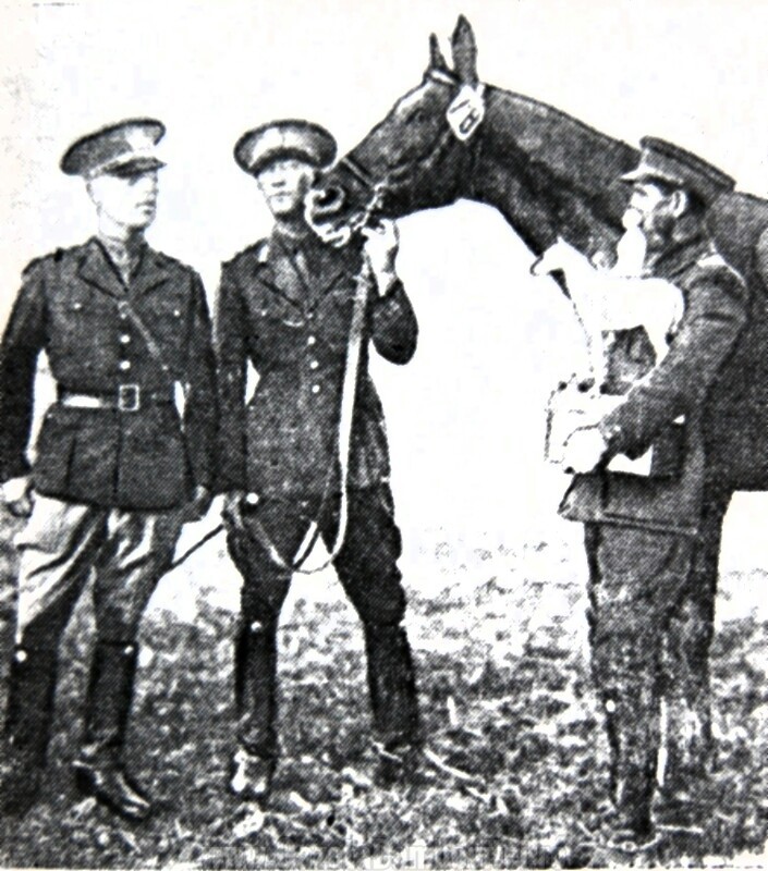 Henri Rang si calul său Delfis, câștigătorul "Marelui premiu al oraşului Aachen", desfăşurat între 20-29 august 1936, încadrat de Petre Kirculescu (şeful echipei hipice a Romaniei) şi plutonierul Constantin Filip, ținând în brațe valorosul trofeu din porțelan de Meissen, reprezentând-o pe Kriemhilda călare.